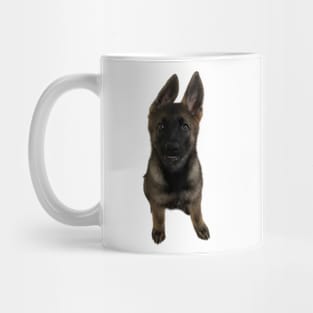 Koda Mug